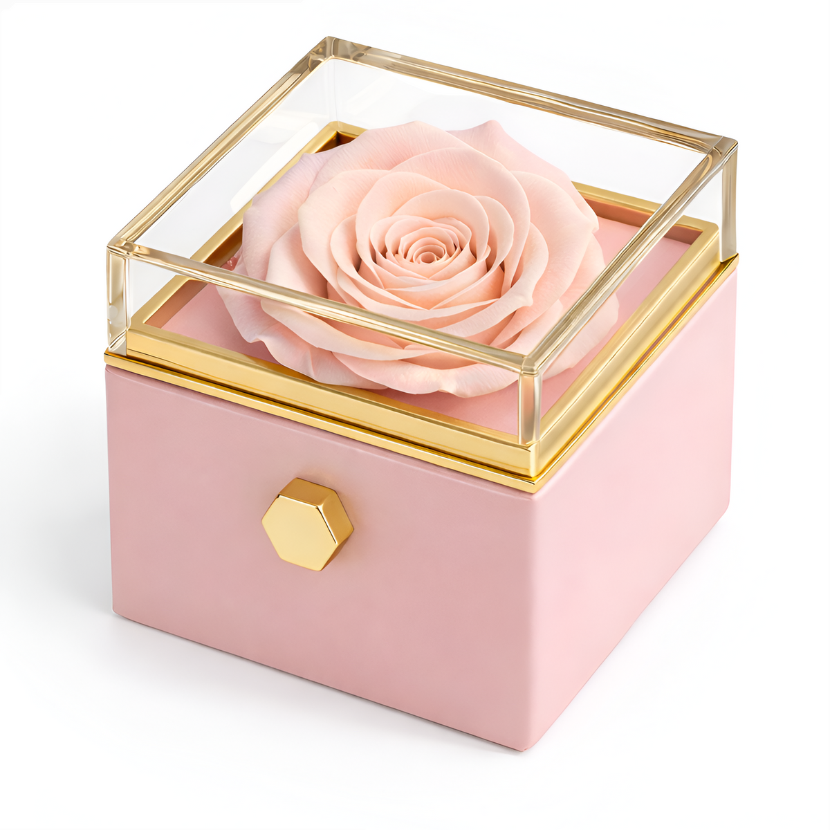 Caja de Rosa Eterna | Rosa Real y Collar Personalizado en Oro 18k