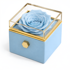 Caja de Rosa Eterna | Rosa Real y Collar Personalizado en Oro 18k