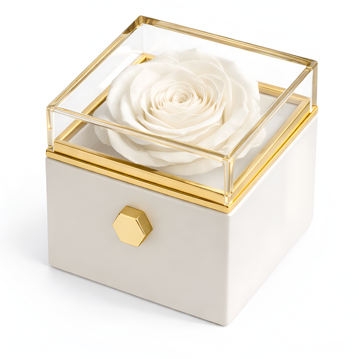 Caja de Rosa Eterna | Rosa Real y Collar Personalizado en Oro 18k