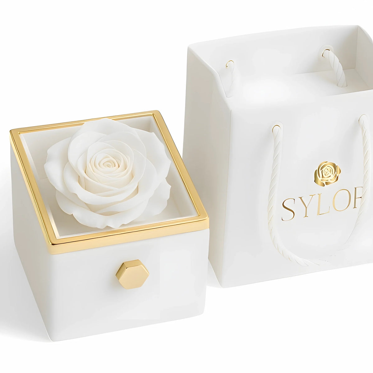 Caja de Rosa Eterna | Rosa Real y Collar Personalizado en Oro 18k
