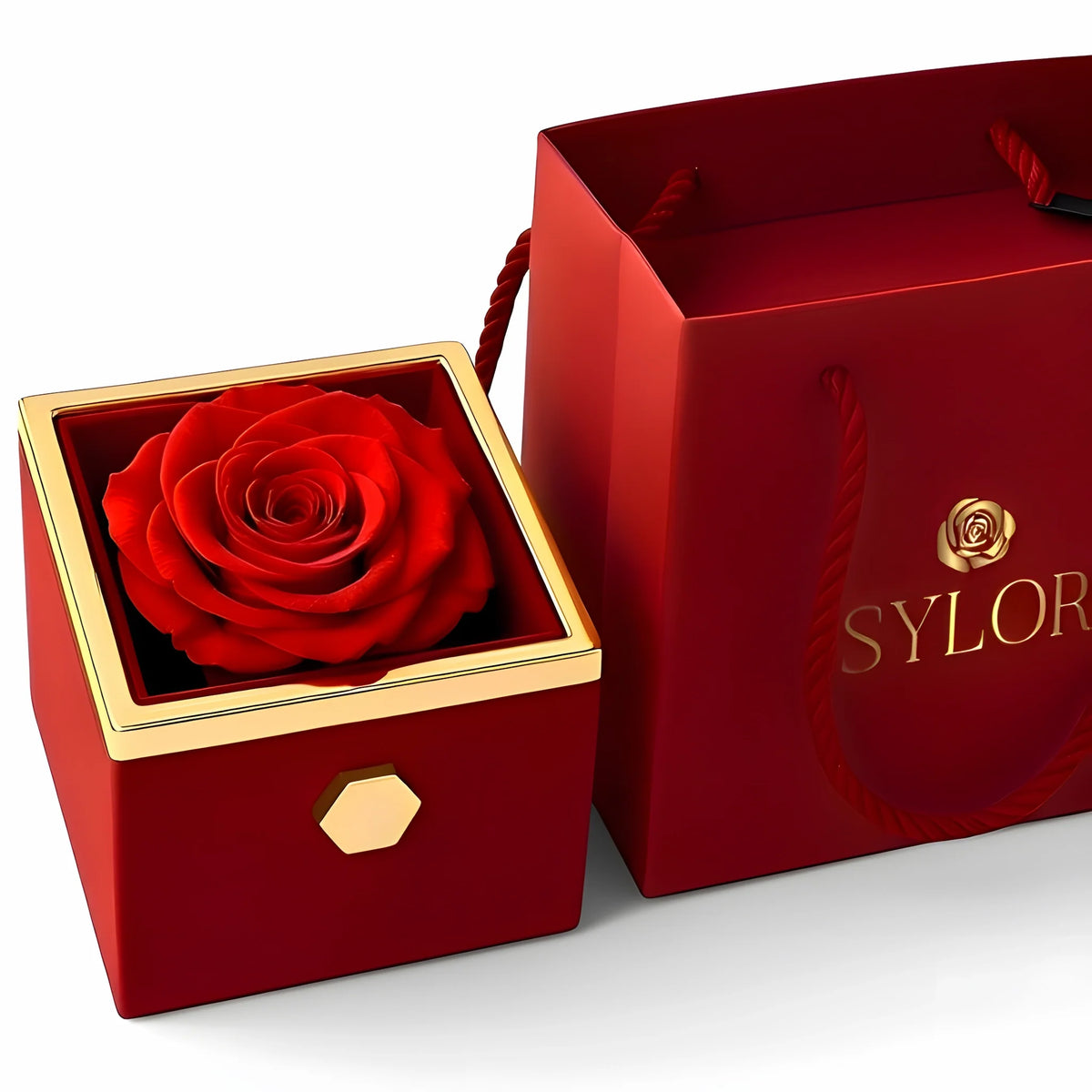 Caja de Rosa Eterna | Rosa Real y Collar Personalizado en Oro 18k