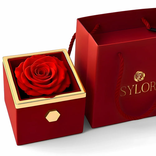 Caja de Rosa Eterna | Rosa Real y Collar Personalizado en Oro 18k